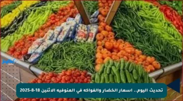 تحديث اليوم.. أسعار الخضار والفواكه في المنوفية الاثنين 18-8-2025